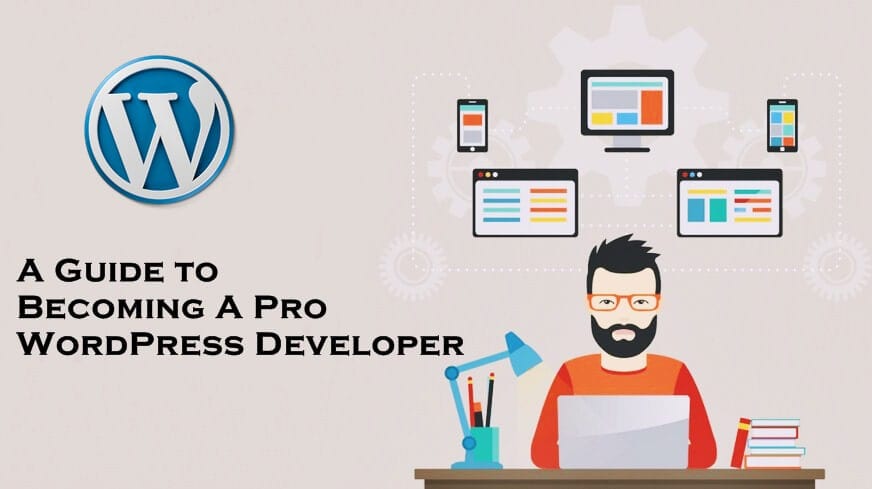A Brief Guide to Becoming a Pro WordPress Developer